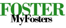These are myFOSTERS Logo